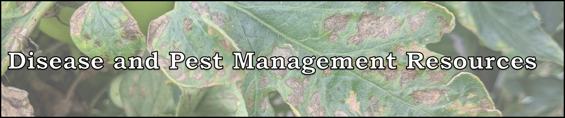 Disease and Pest Management Resources