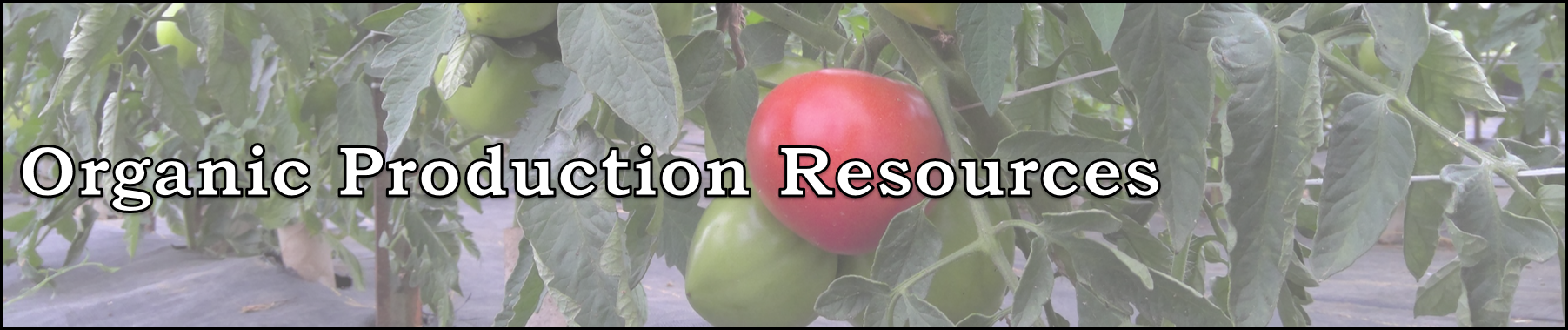 Organic Production Resources